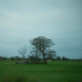 ireland