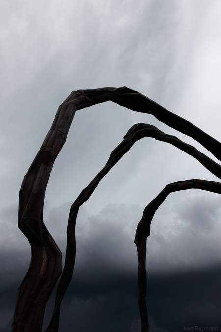 Ottawa Spider