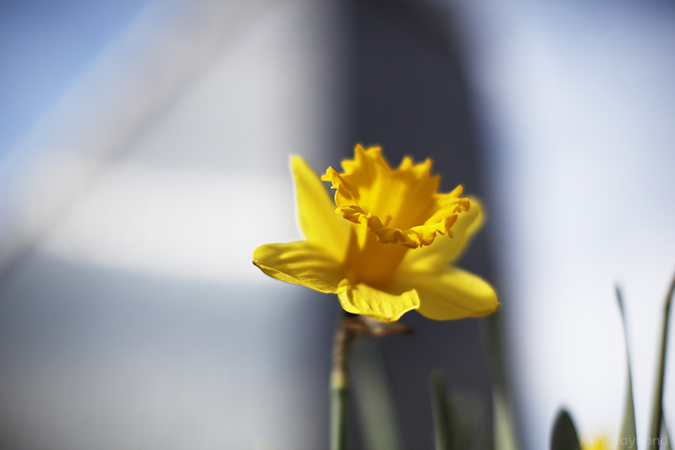 Ken_Ramond_20130427_0308