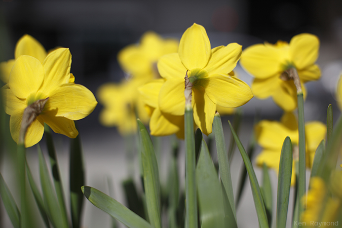 Ken_Raymond_20130427_0301