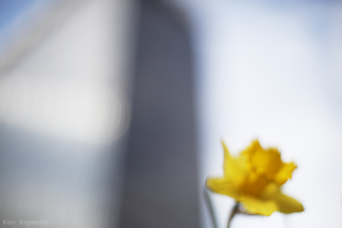 Ken_Raymond_20130427_0311