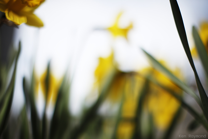 Ken_Raymond_20130427_0313