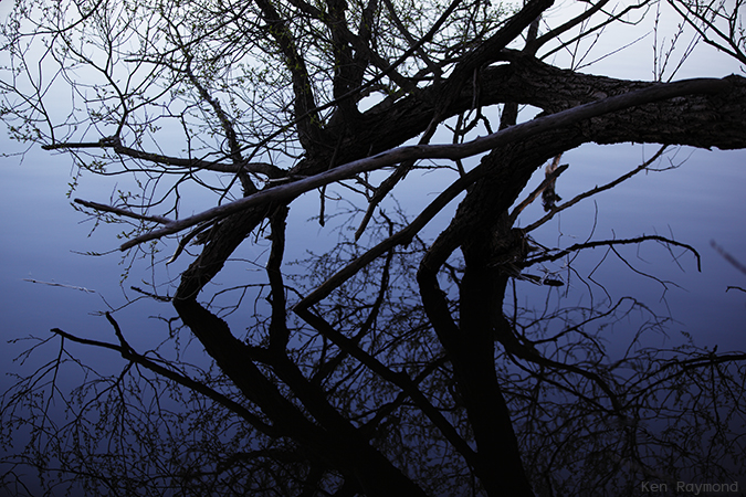 Ken_Raymond_20130504_0395