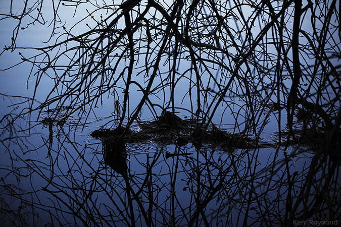 Ken_Raymond_20130504_0396