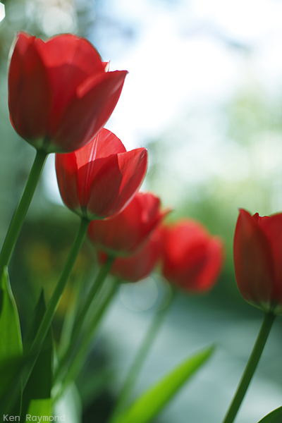 Ken_Raymond_20130507_0584