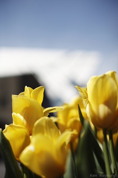 Ken_Raymond_20130518_0815