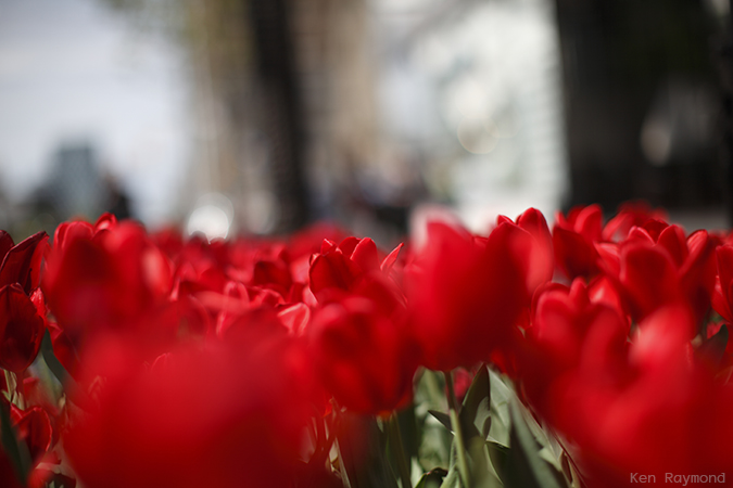 Ken_Raymond_20130518_0829