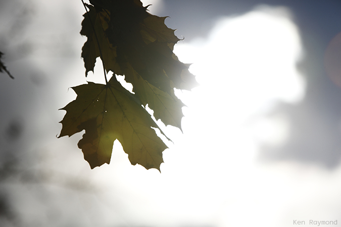 Ken_Raymond_2013_11_104323