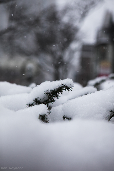 Ken_Raymond_2013_12_144880