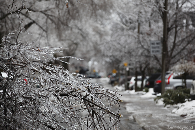 Ken_Raymond_2013_12_225208
