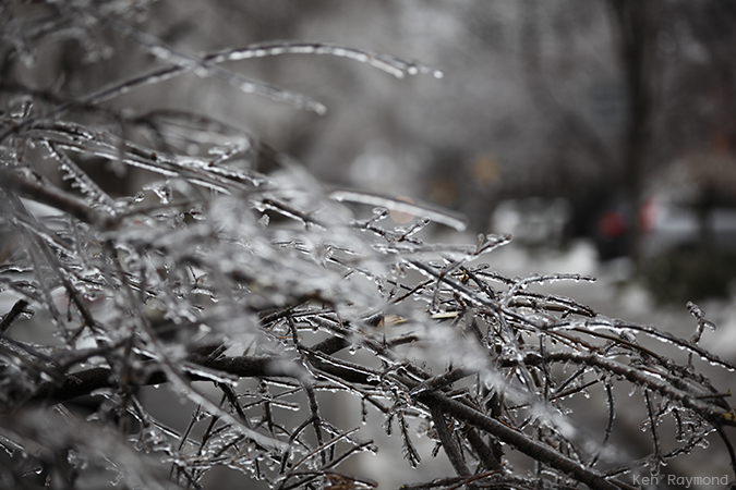 Ken_Raymond_2013_12_225213
