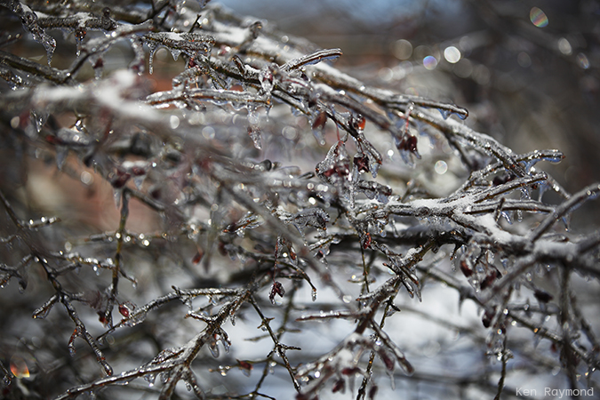 Ken_Raymond_2013_12_245337