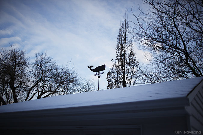 Ken_Raymond_2014_01_186568