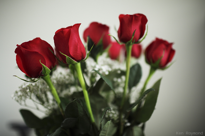 Ken_Raymond_2014_02_147163