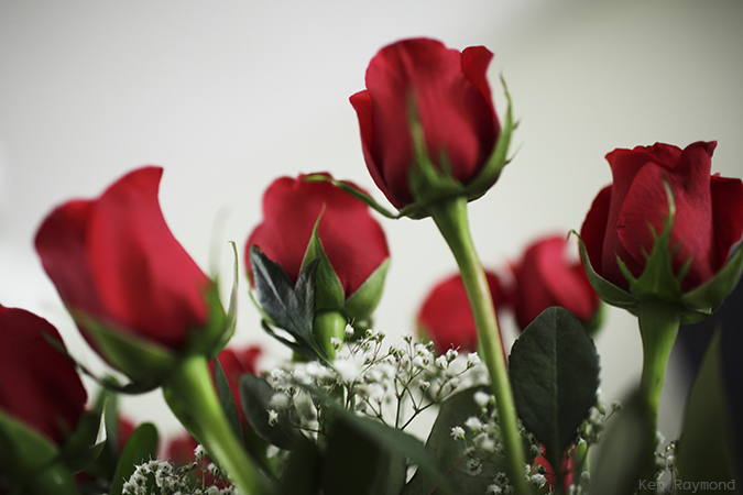 Ken_Raymond_2014_02_147166