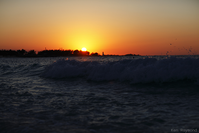 Ken_Raymond_2014_03_199085