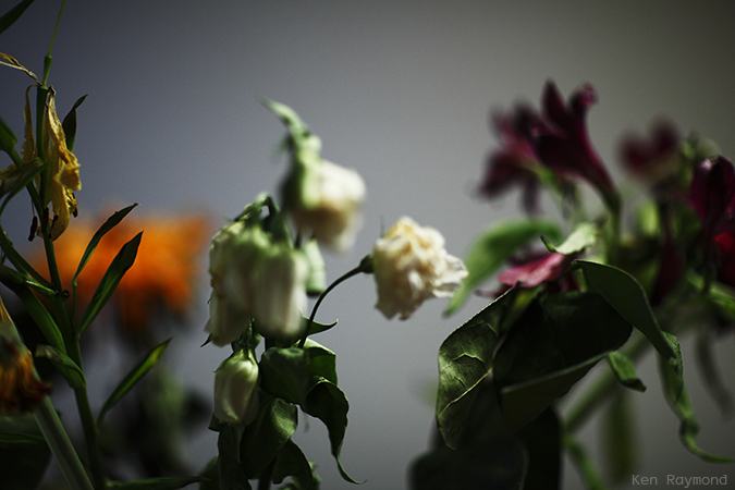 Ken_Raymond_2014_04_300400