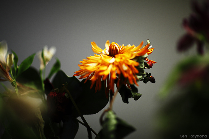 Ken_Raymond_2014_04_300408