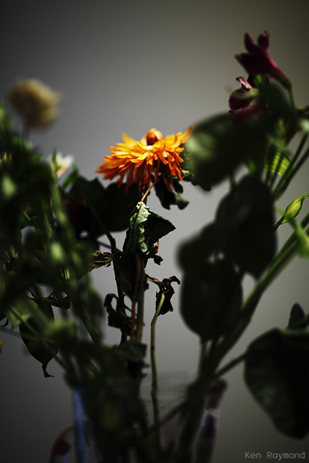 Ken_Raymond_2014_04_300411