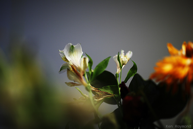 Ken_Raymond_2014_04_300414
