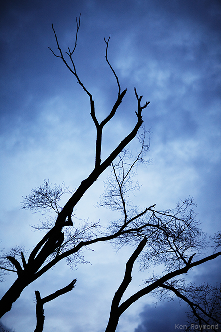 Ken_Raymond_2014_05_131007