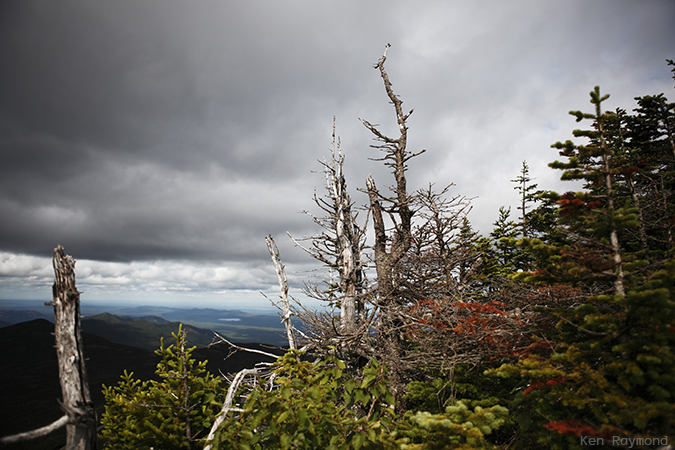 Ken_Raymond_2014_07_294588