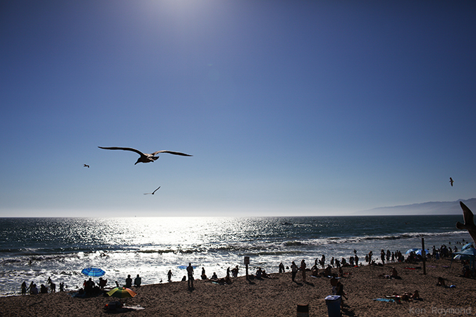 Ken_Raymond_2014_09_066978