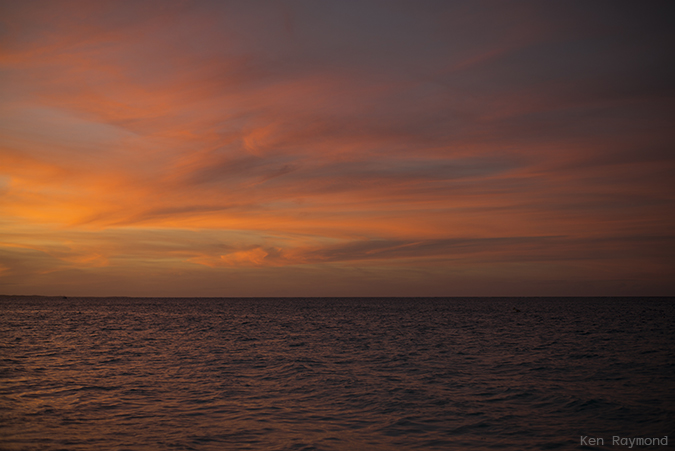 Ken_Raymond_20150101-L1000670