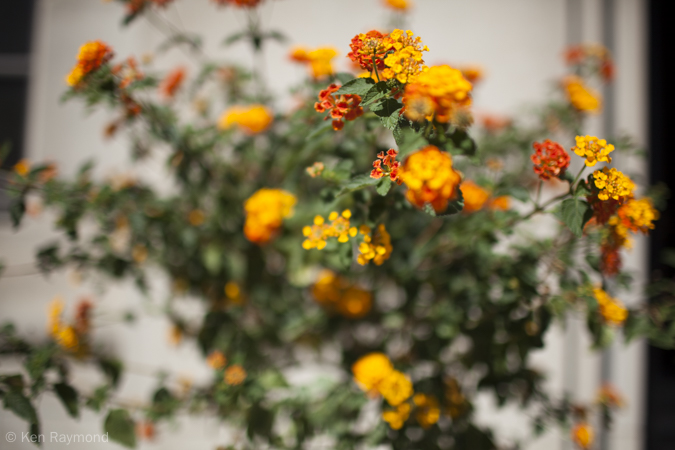 Ken_Raymond_2015_06_241633-Ken-Raymond