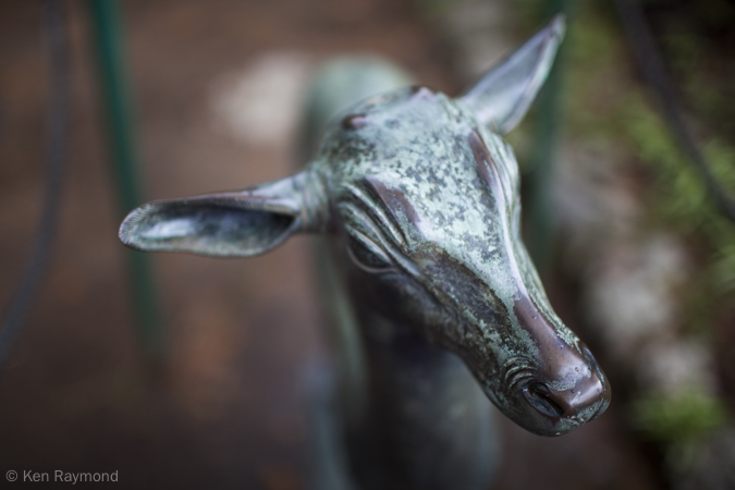Ken_Raymond_2015_08_162917-Ken-Raymond