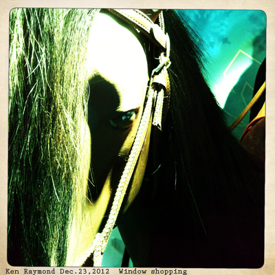 12-23-12-window3